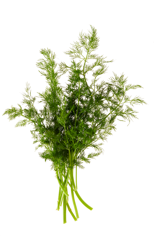 Lemon Dill Hummus Ithaca Hummus